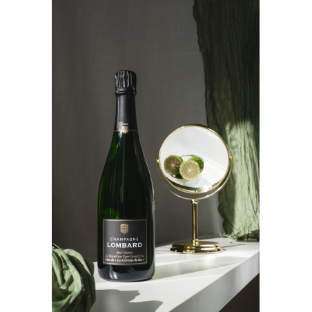 Les Corroies de Bas - Champagne Mesnil sur oger blanc de blancs