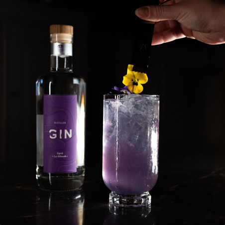 Cocktail signature violet gin lombard