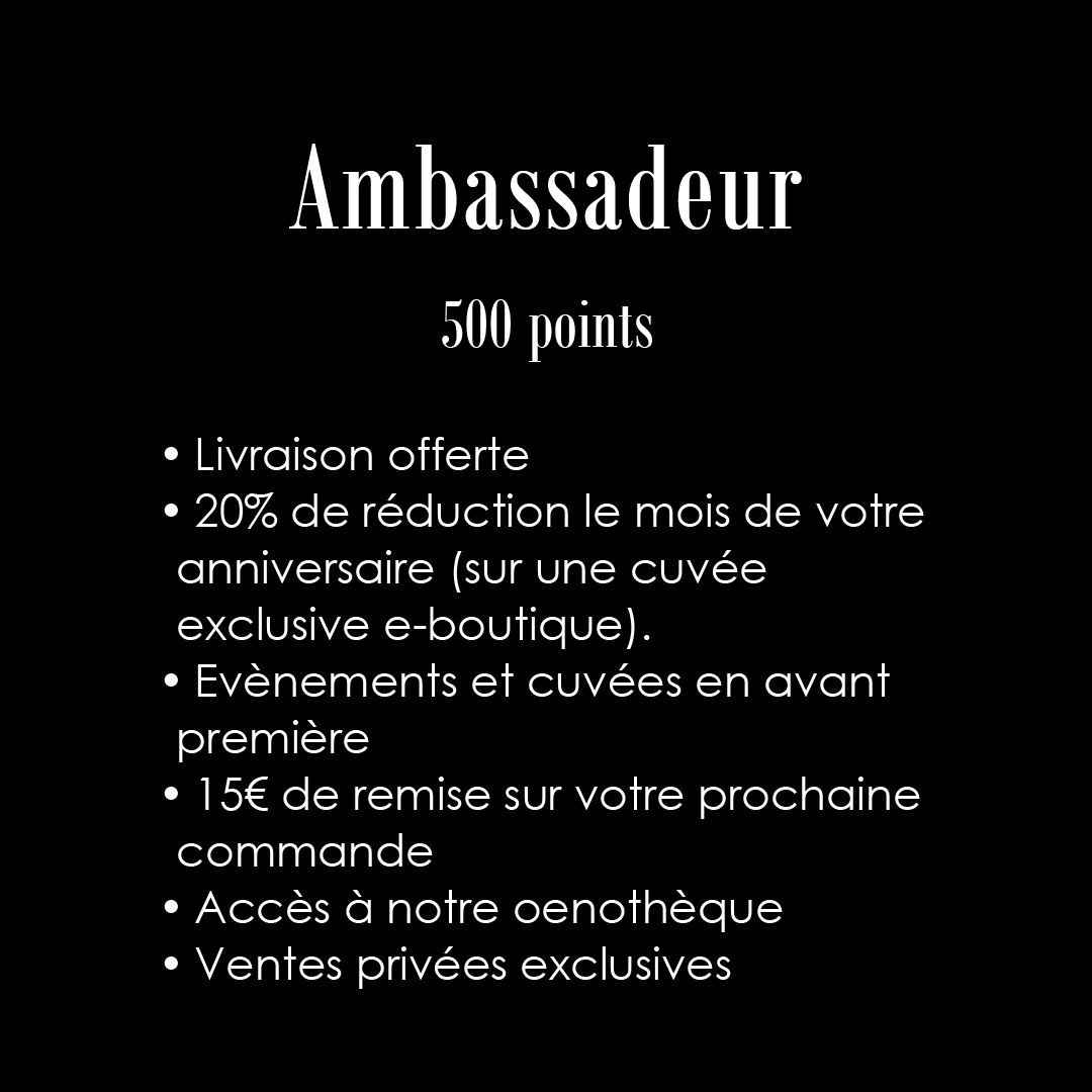 Ambassadeur